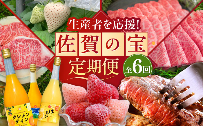 【2026年発送分 先行予約】【全6回定期便】佐賀県の生産者を応援！いちご・みかんジュース・佐賀牛 佐賀の宝 定期便 / ストレートジュース 白い宝石 ステーキ すき焼き 焼肉 / 佐賀県ふるさと納税 [41AAZZ012]