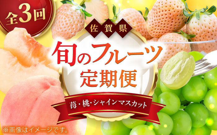 【2026年発送分 先行予約】【全3回定期便】佐賀県の生産者を応援！いちごと桃とシャインマスカットを楽しむ定期便 / フルーツ / 佐賀県ふるさと納税 [41AAZZ020]