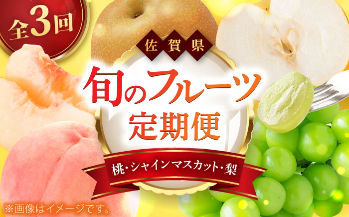 【2026年発送分 先行予約】【全3回定期便】佐賀県の生産者を応援！桃とシャインマスカットと梨を楽しむ定期便 / フルーツ / 佐賀県ふるさと納税 [41AAZZ021]