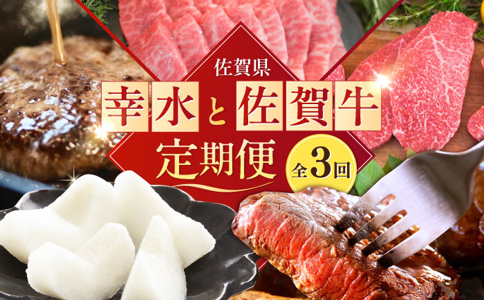 【2026年発送分 先行予約】【全3回定期便】梨（幸水）と佐賀牛定期便 / ステーキ 焼肉 ハンバーグ / 佐賀県ふるさと納税 [41AAZZ024]