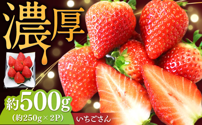 【2026年発送 先行予約】いちごさん 約500g（約250g×2パック） / フルーツ / 佐賀県 / リフルット株式会社 [41ABAA002]