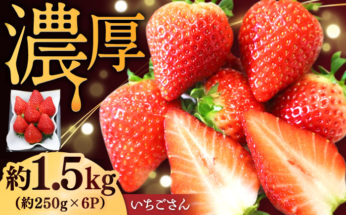 【2026年発送 先行予約】いちごさん 約1.5kg（約250g×6パック） / フルーツ / 佐賀県 / リフルット株式会社 [41ABAA003]