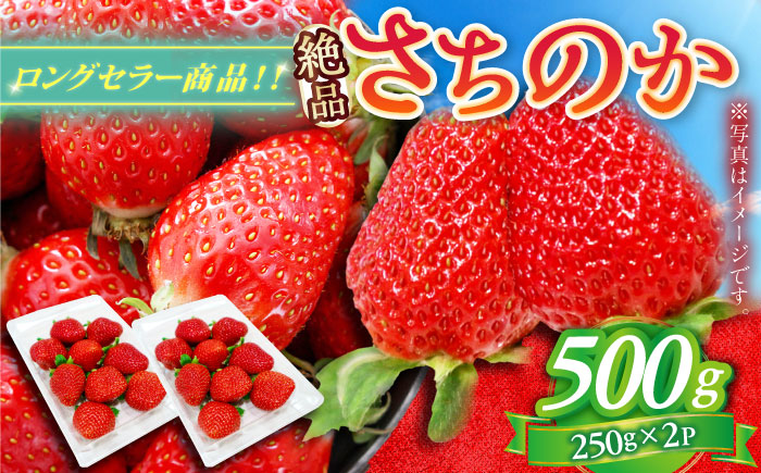 【2026年発送 先行予約】さちのか 500g（250g×2パック） / いちご / 佐賀県 / リフルット株式会社 [41ABAA007]