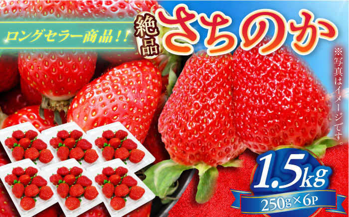 【2026年発送 先行予約】さちのか 1.5kg（250g×6パック） / いちご / 佐賀県 / リフルット株式会社 [41ABAA008]
