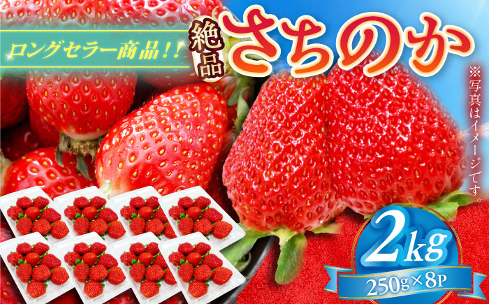 【2026年発送 先行予約】さちのか 2kg（250g×8パック） / いちご / 佐賀県 / リフルット株式会社 [41ABAA009]