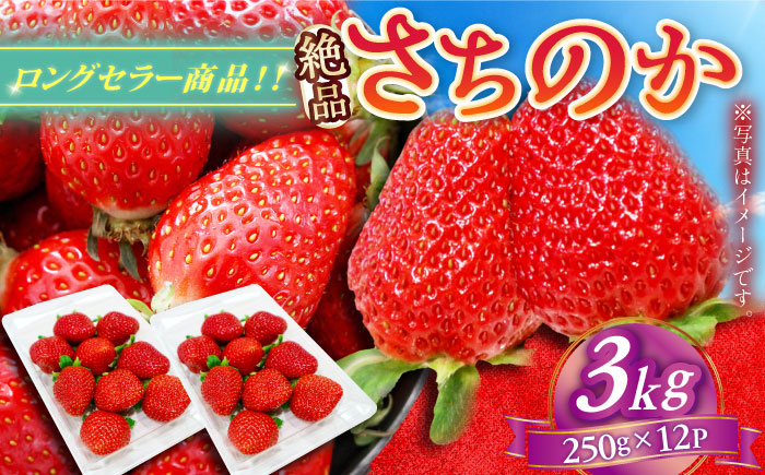 【2026年発送 先行予約】さちのか 3kg（250g×12パック） / いちご / 佐賀県 / リフルット株式会社 [41ABAA010]