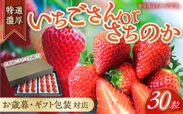 【お歳暮用/熨斗付】 特選濃厚苺30粒 品種:いちごさん or さちのか / フルーツ / 佐賀県 / リフルット株式会社 [41ABAA017]