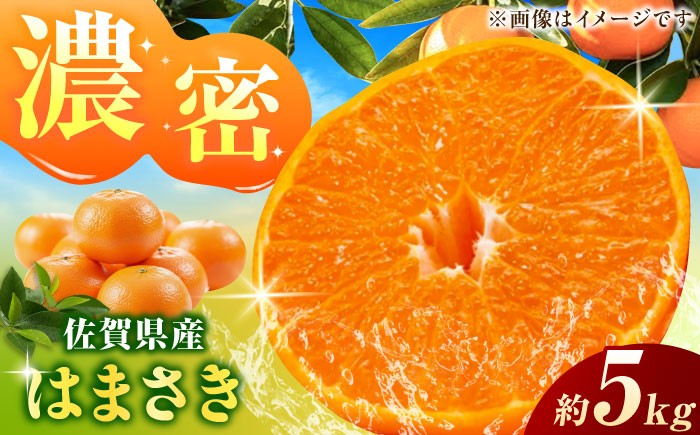 佐賀県産みかん はまさき約5kg / みかん 蜜柑 果物 フルーツ / 佐賀県 / リフルット株式会社 [41ABAA022]