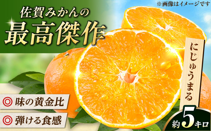 佐賀県産みかん にじゅうまる約5kg / フルーツ 柑橘 唐津 にじゅうまる / 佐賀県 / リフルット株式会社 [41ABAA023]