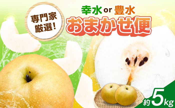 佐賀県産 梨（品種おまかせ）5kg / 和梨 果物 フルーツ 幸水 豊水 / 佐賀県 / リフルット株式会社 [41ABAA025]