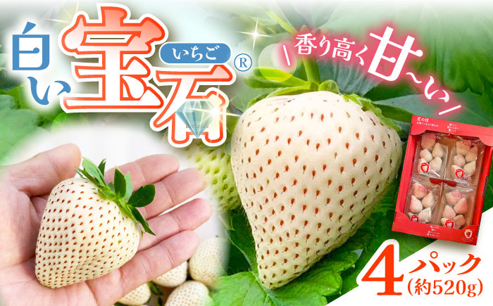 白い宝石（自宅用）約520g（約130g×4パック）/ いちご / 佐賀県 / 手島農園 [41ABAB003]