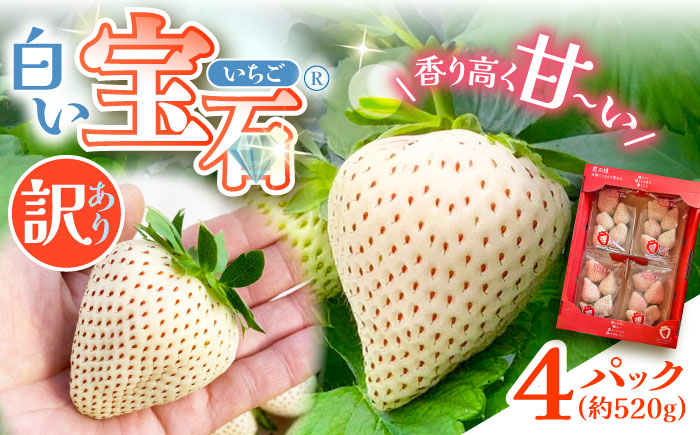 白い宝石（訳あり）約520g（約130g×4パック） / いちご / 佐賀県 / 手島農園 [41ABAB004]
