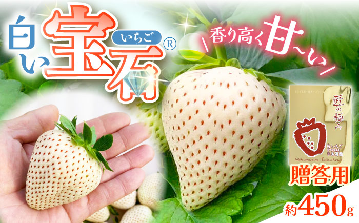 【2026年2月から発送分 先行予約】【幻の白いちご】【化粧箱入り】白い宝石 約450g / フルーツ / 佐賀県 / 手島農園 [41ABAB005]