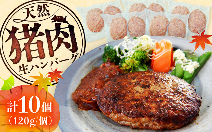猪肉の生ハンバーグ 計10個（120g×2個入り×5パック） / 佐賀県 / ジビエ唐津 [41ABAG005]