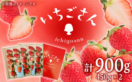 いちごさん（450g×2パック） / フルーツ / 佐賀県 / JAからつ 唐津うまかもん市場 [41ABCA002]