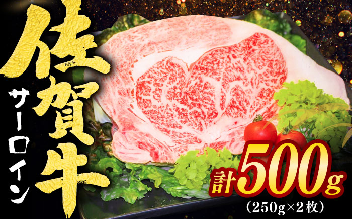 全国トップクラスのブランド牛！佐賀牛 サーロインステーキ 計500g（250g×2枚） / 牛肉 / 佐賀県 / ヤマサン食品 [41ADAA004]