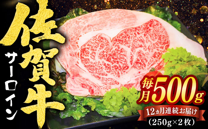 【全12回定期便】佐賀牛サーロインステーキ 計6kg（250g×2枚×12回） / 牛肉 / 佐賀県 / ヤマサン食品 [41ADAA010]