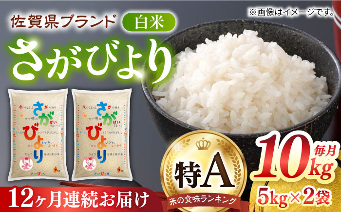 【全12回定期便】さがびより 白米 計120kg（5kg×2袋×12回）/ 精米 / 佐賀県 / 株式会社JA食糧さが [41ADAR008]
