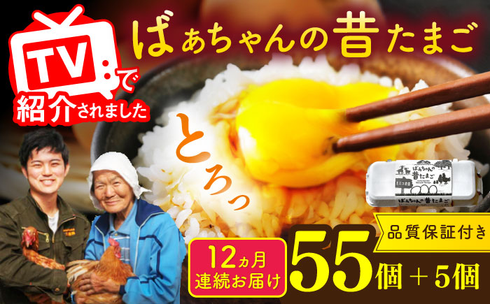 【全12回定期便】ばあちゃんの昔たまご 計720個（55個+5個×12回（品質補償付き）） / 卵 / 佐賀県 / 素ヱコ農園 [41AEAA012]