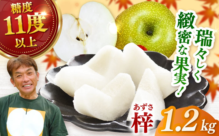 【2026年発送分 先行予約】【化粧箱入り】梓（あきづき）3個入（約1.2kg） / 梨 / 佐賀県 / 大川三世代 [41AEAB001]