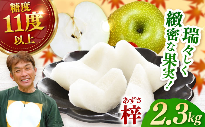 【2026年発送分 先行予約】【化粧箱入り】梓（あきづき）5-6個入（約2.3kg） / 梨 / 佐賀県 / 大川三世代 [41AEAB002]