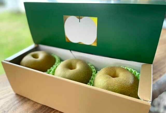 【2026年発送分 先行予約】【化粧箱入り】幸太郎（幸水）3個入（約1.2kg）/ 梨 / 佐賀県 / 大川三世代 [41AEAB003]