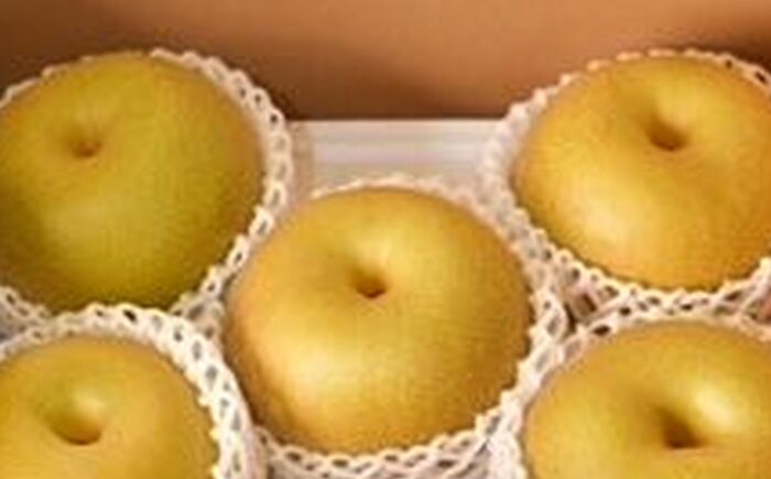 【2026年発送分 先行予約】【化粧箱入り】幸太郎（幸水）5-6個入（約2.3kg）/ 梨 / 佐賀県 / 大川三世代 [41AEAB004]