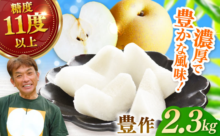 【2026年発送分 先行予約】【化粧箱入り】豊作（豊水）5-6個入（約2.3kg） / 梨 / 佐賀県 / 大川三世代 [41AEAB006]