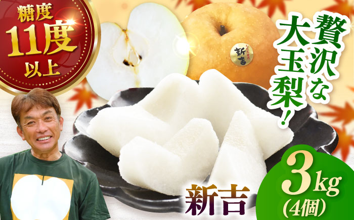 【2026年発送分 先行予約】【化粧箱入り】新吉（新高）4個入（約3kg） / 梨 / 佐賀県 / 大川三世代 [41AEAB009]