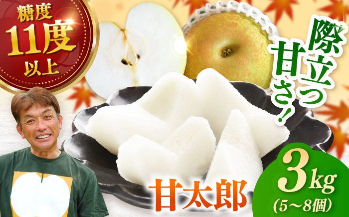 【2026年発送分 先行予約】【化粧箱入り】甘太郎（甘太）5-8個入（約3kg）/ 梨 / 佐賀県 / 大川三世代 [41AEAB010]
