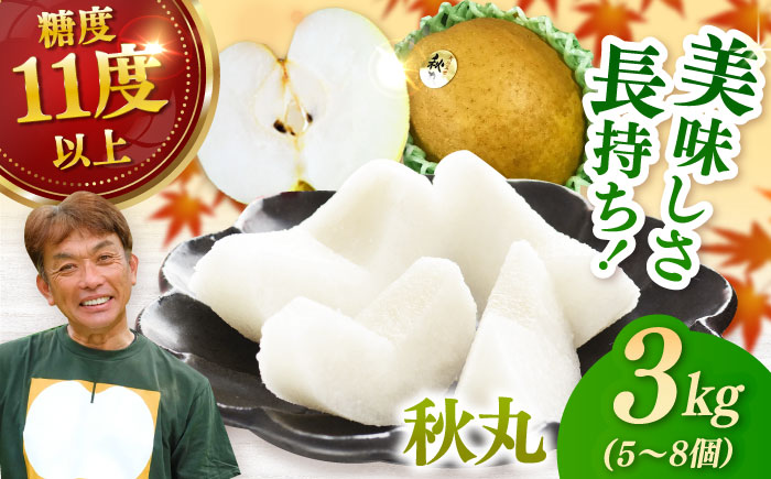 【2026年発送分 先行予約】【化粧箱入り】秋丸（王秋）5-8個入（約3kg） / 梨 / 佐賀県 / 大川三世代 [41AEAB011]
