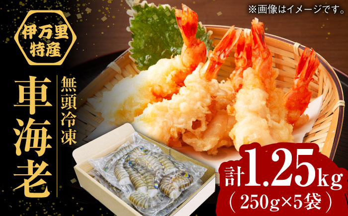 【加熱用】伊万里特産 無頭冷凍車海老 計1.25kg（250g×5袋）/ えび / 佐賀県 / 株式会社拓水 伊万里クルマエビセンター [41AEAJ009]