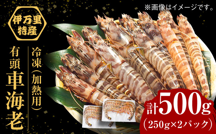 【訳あり】伊万里産 冷凍車海老（加熱用） 計500g（250g×2パック） / えび / 佐賀県 / 株式会社拓水 伊万里クルマエビセンター [41AEAJ011]