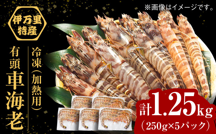 【訳あり】伊万里産 冷凍車海老（加熱用） 計1.25kg（250g×5パック） / えび / 佐賀県 / 株式会社拓水 伊万里クルマエビセンター [41AEAJ012]