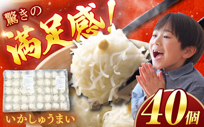 【業務用】いかしゅうまい（20個入り×2パック） / 惣菜 / 佐賀県 [41AECT003]