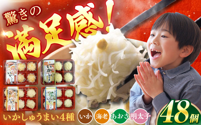 いかしゅうまい4種詰め合わせ（6個入り×各2パック） / 惣菜 / 佐賀県 [41AECT004]