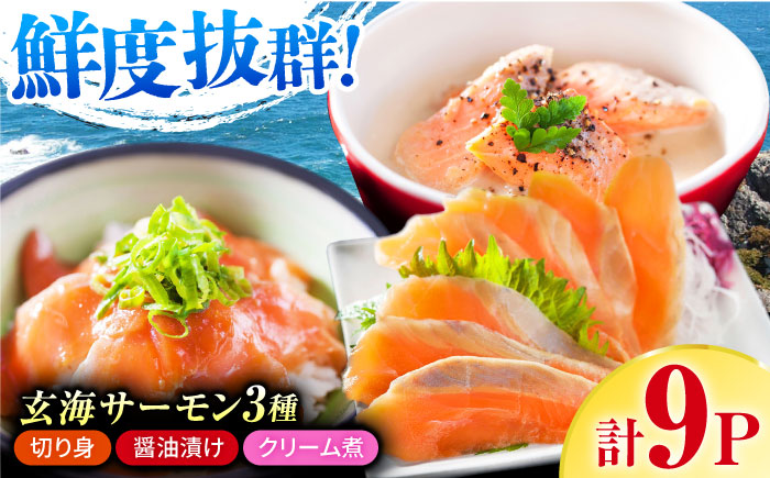 玄海サーモン3種詰合せ（切り身、醤油漬け、クリーム煮） / 惣菜 / 佐賀県 [41AECT005]