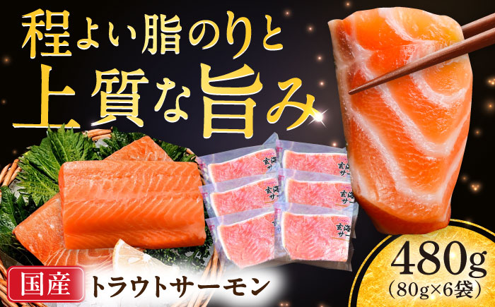 玄海サーモン柵80g×6袋 / 魚介類 / 佐賀県 / 株式会社九州特産品販売 [41AECT008]