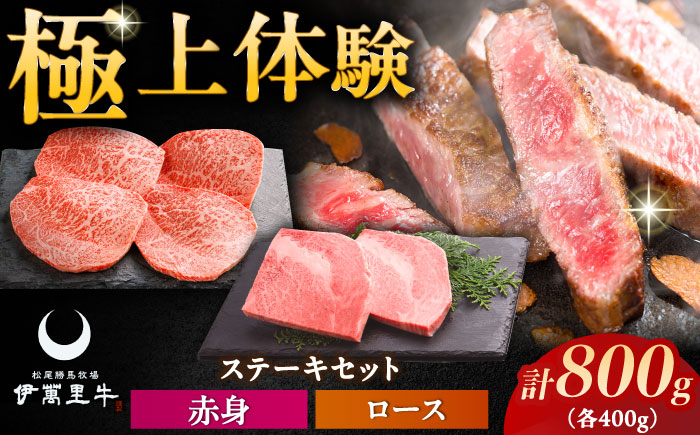 伊萬里牛ステーキセット 赤身ステーキ 400g（100g×4枚）・ロースステーキ 400g（200g×2枚） / 牛肉 / 佐賀県 / まつお食肉卸株式会社 [41AECZ015]