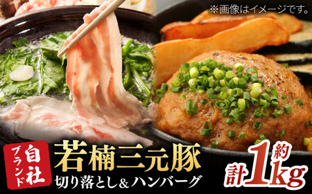 佐賀県産 若楠三元豚 切り落とし ハンバーグセット 約1kg / 簡単調理 / 加工肉 / 佐賀県 / 株式会社ナチュラルフーズ [41AFAB001]
