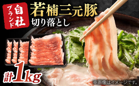 佐賀県産 若楠三元豚 切り落とし 計1kg（250g×4パック） / 豚肉 / 佐賀県 / 株式会社ナチュラルフーズ [41AFAB002]