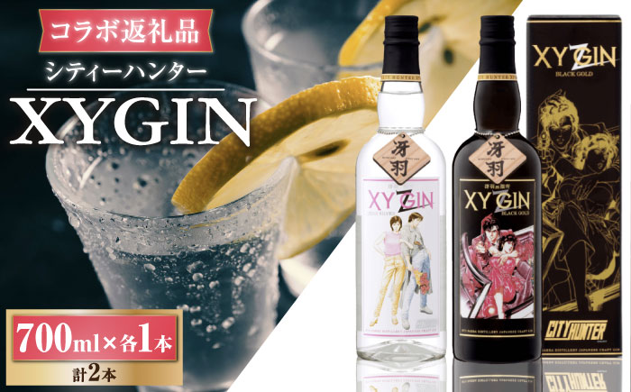 XYGIN 700ml×2本（各1本×2種） / ジン お酒 / 佐賀県 / 合資会社光武酒造場 [41AGAA003]