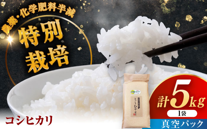 令和7年産 ななしま家 コシヒカリ 5kg / 精米 / 佐賀県 / 有限会社七島農産 [41AHAC001]