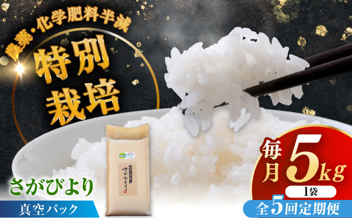 【全5回定期便】令和7年産 ななしま家 さがびより 5kg / 精米 / 佐賀県 / 有限会社七島農産 [41AHAC005]