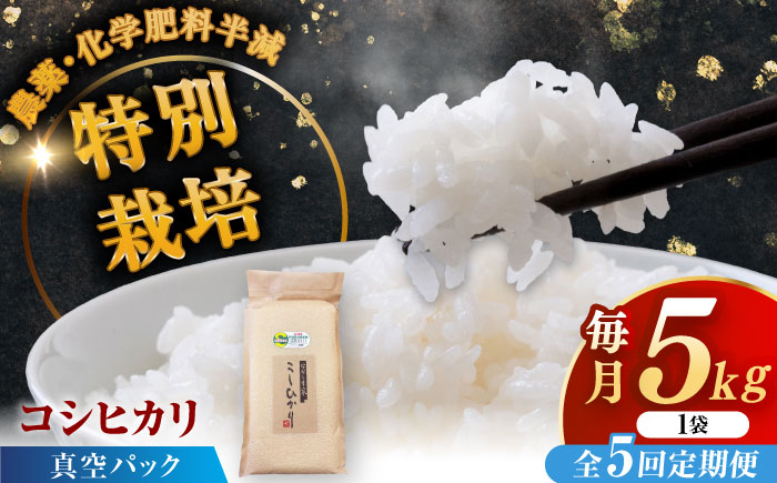 【全5回定期便】令和7年産 ななしま家 コシヒカリ 5kg / 精米 / 佐賀県 / 有限会社七島農産 [41AHAC007]