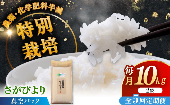 【全5回定期便】令和7年産 ななしま家 さがびより 5kg×2袋 / 精米 特別栽培 / 佐賀県 / 有限会社七島農産 [41AHAC008]