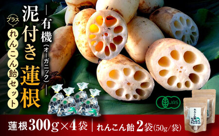 有機（オーガニック）泥付き蓮根 計1.2kg（300g×4袋）とれんこん飴2袋セット / 佐賀県 / 吉田農園 [41AHAE002]