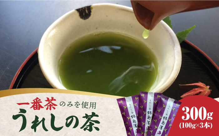 一番摘み茶葉のみを使用！】老舗茶屋川原茶業の特別な嬉野茶（一番茶 かぶせ玉緑茶100g×3本入） / 佐賀県 / 株式会社川原茶業  [41AIAV003]: 佐賀県ANAのふるさと納税