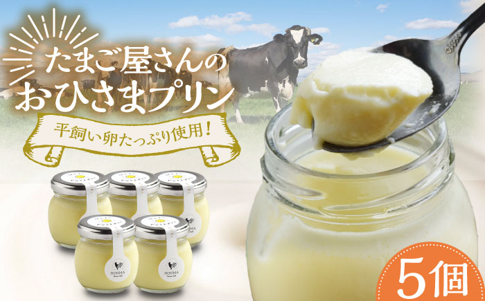 平飼いたまご使用！たまごやさんのおひさまプリン 5個 / スイーツ / 佐賀県 / 本間農園 [41AJAA004]