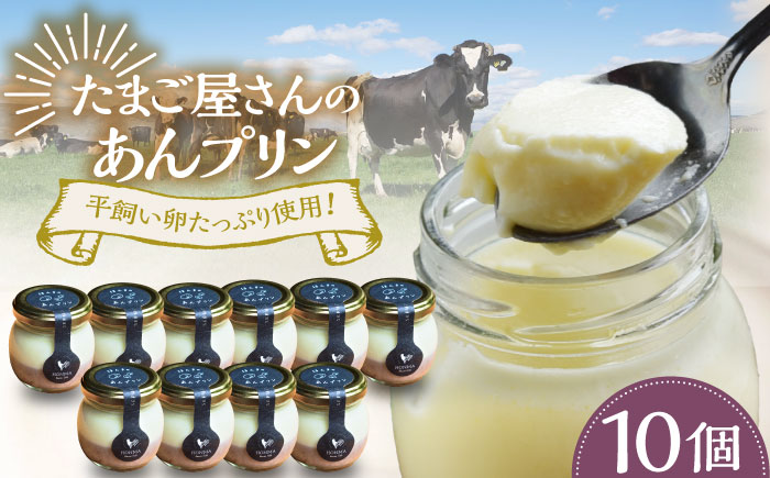 あんプリン 10個 / スイーツ / 佐賀県 / 本間農園 [41AJAA007]